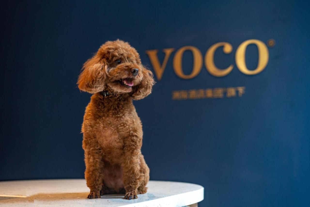 Voco Nanjing Garden Expo, An Ihg Hotel Ngoại thất bức ảnh